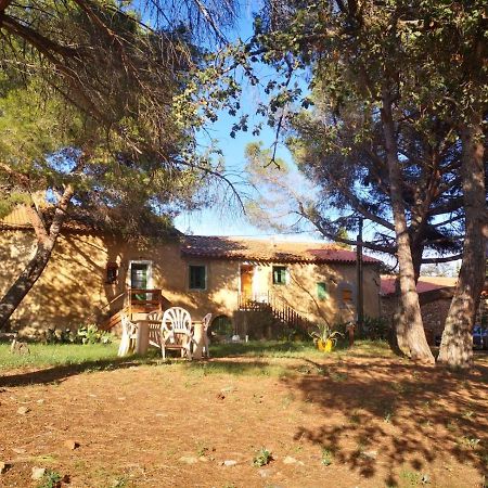 Maison Entiere Hameau Monastir Del Camp Passa Buitenkant foto