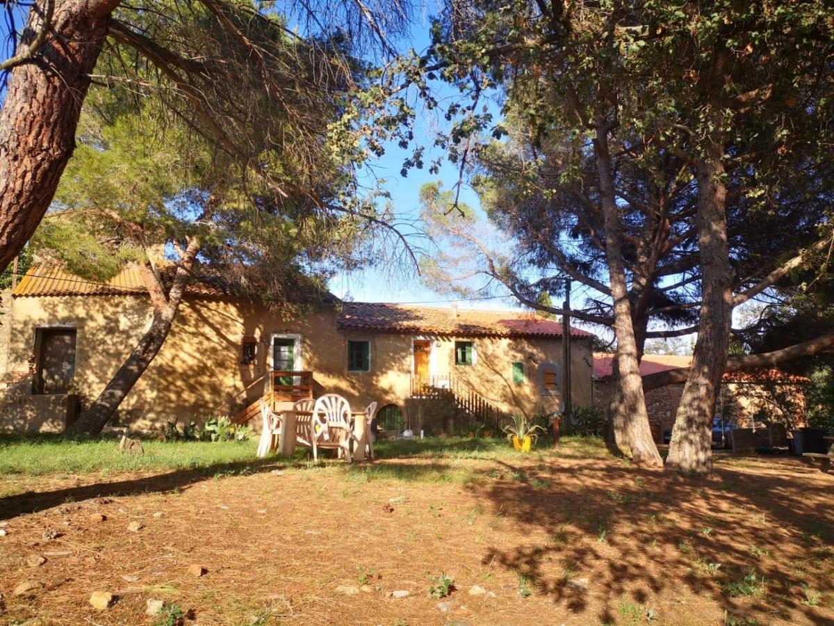 Maison Entiere Hameau Monastir Del Camp Passa Buitenkant foto